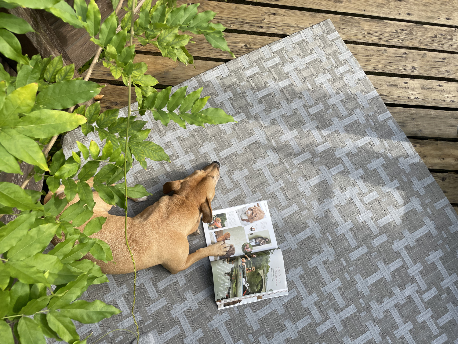 robuster designer teppich fuer draussen